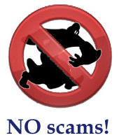 STOP SCAMS (Pratiche scorrette) nel mondo del mystery shopping STOP SCAMS (Pratiche scorrette) nel mondo del mystery shopping